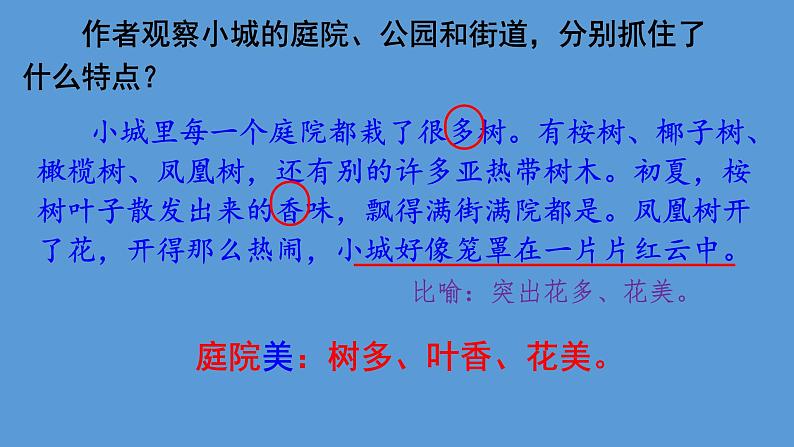 人教版(部编版)小学语文三年级上册 19.海滨小城 课件03