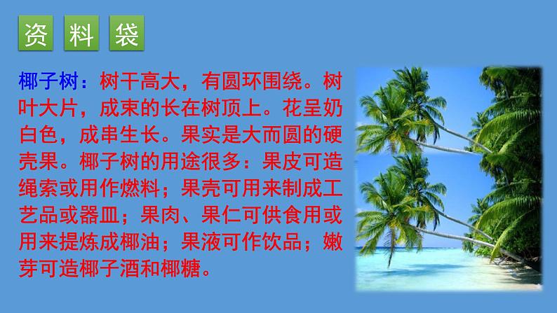 人教版(部编版)小学语文三年级上册 19.海滨小城 课件05