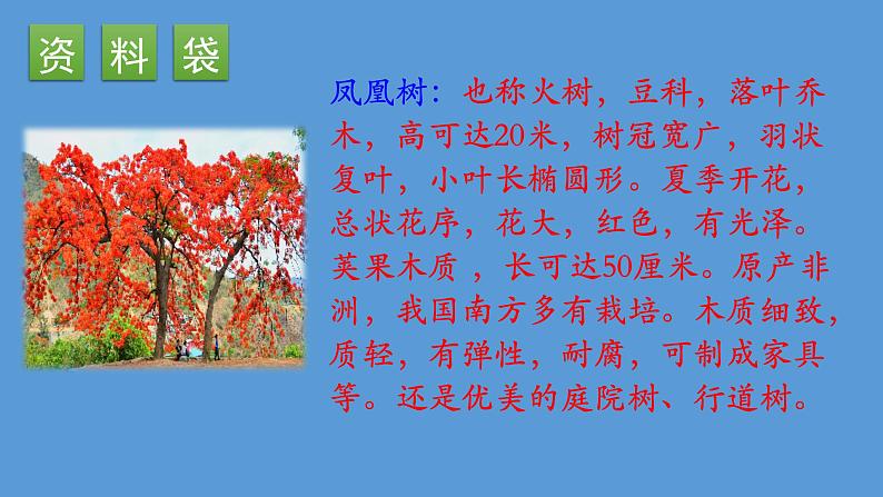 人教版(部编版)小学语文三年级上册 19.海滨小城 课件06