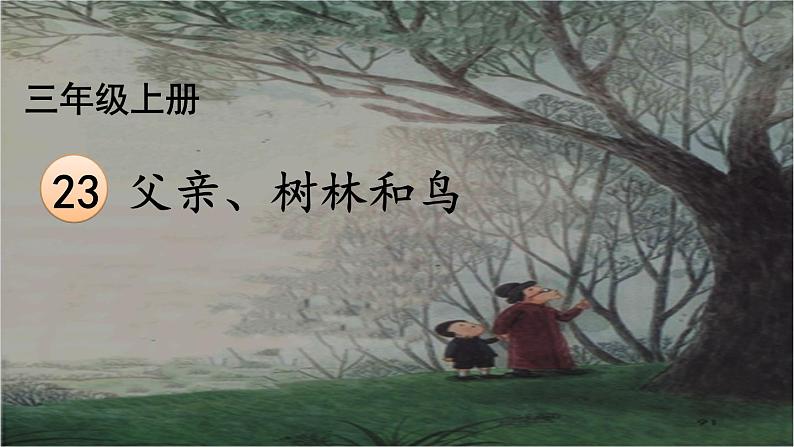 人教版(部编版)小学语文三年级上册 23.父亲、树林和鸟 课件01