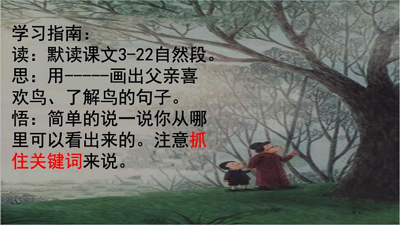 人教版(部编版)小学语文三年级上册 23.父亲、树林和鸟 课件05