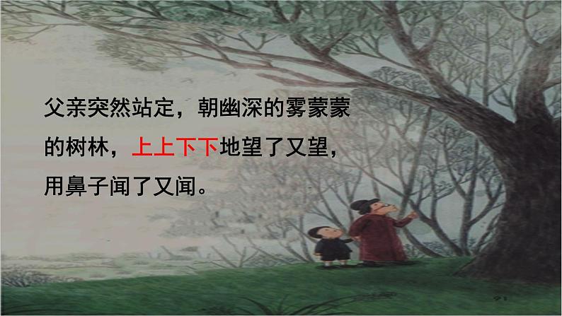 人教版(部编版)小学语文三年级上册 23.父亲、树林和鸟 课件07