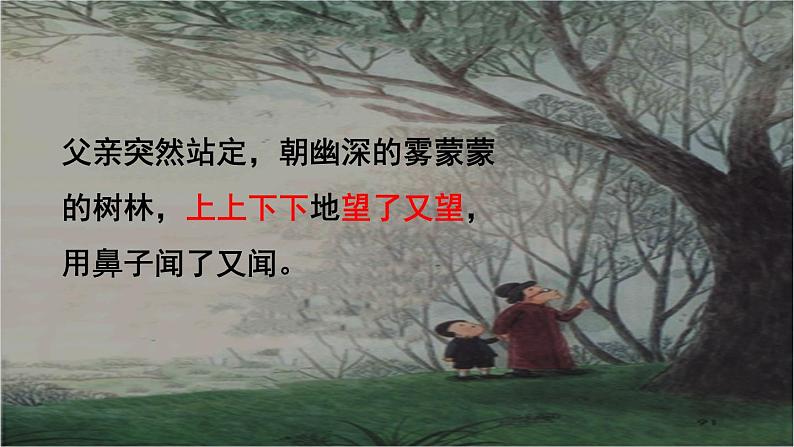 人教版(部编版)小学语文三年级上册 23.父亲、树林和鸟 课件08