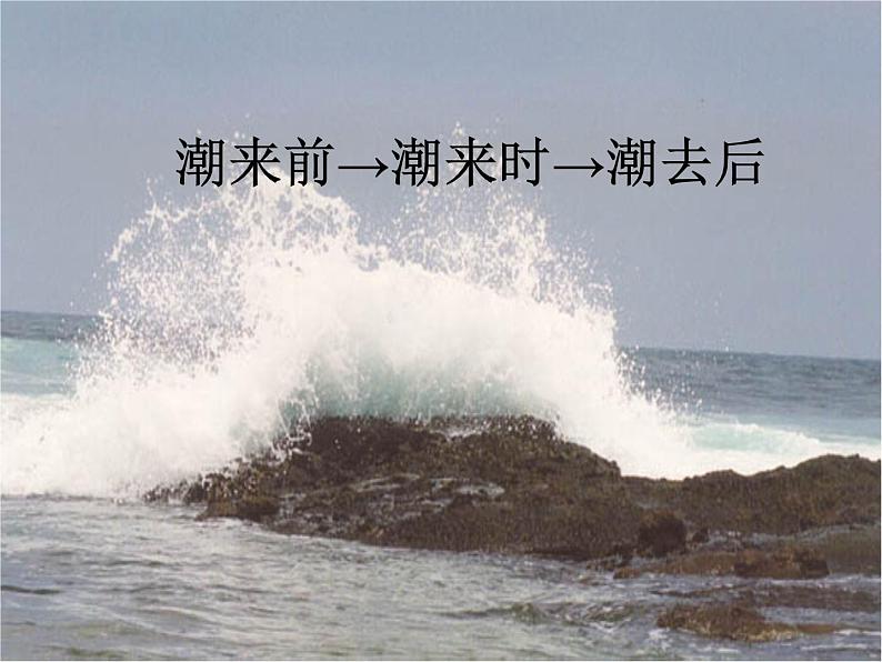人教版(部编版)小学语文四年级上册 1.观潮 课件03
