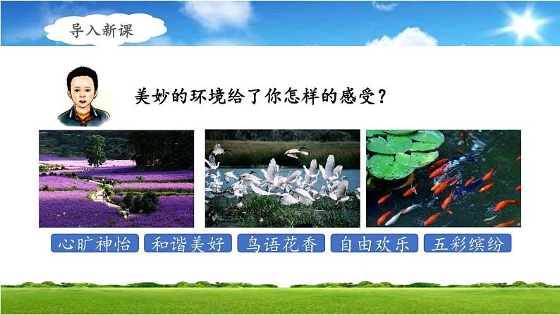 四年级上册语文人教部编版 口语交际《我们与环境》 课件第3页