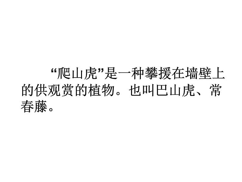 四年级上册语文人教部编版 10.爬山虎的脚 课件02