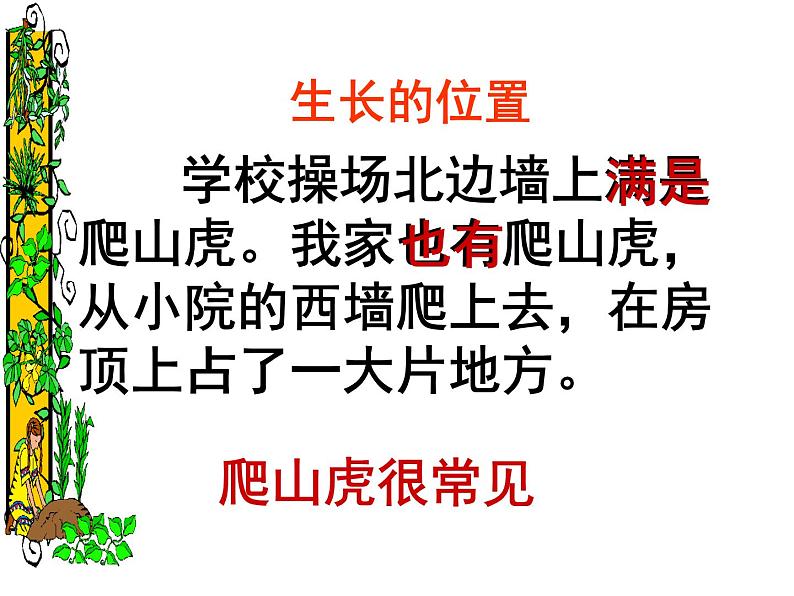 四年级上册语文人教部编版 10.爬山虎的脚 课件05