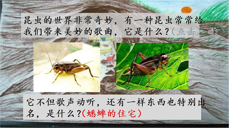 四年级上册语文人教部编版 11.蟋蟀的住宅 课件02