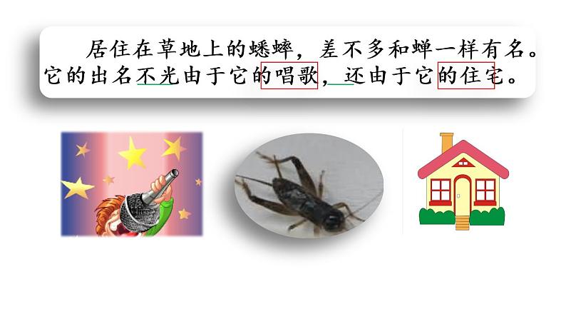 四年级上册语文人教部编版 11.蟋蟀的住宅 课件05