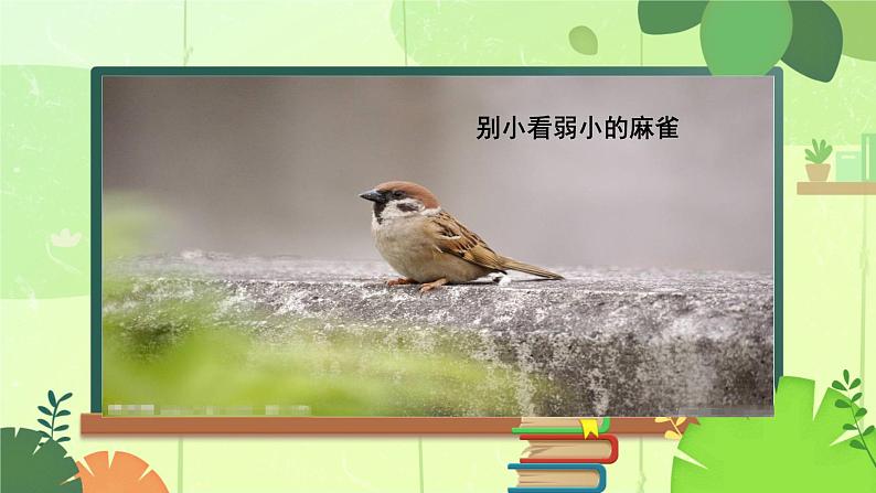 四年级上册语文人教部编版 16.麻雀 课件05