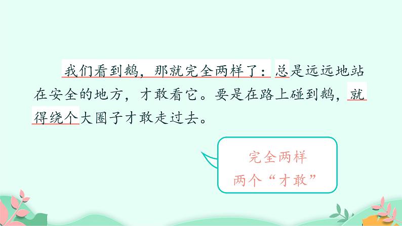 四年级上册语文人教部编版 18.牛与鹅 课件第5页