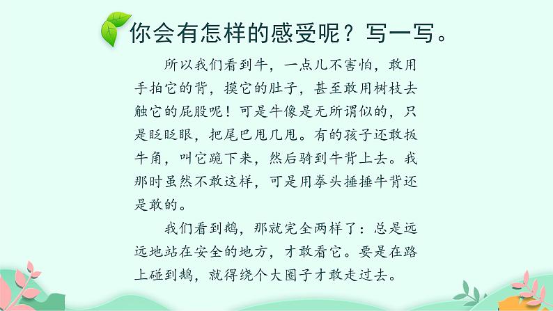 四年级上册语文人教部编版 18.牛与鹅 课件第6页