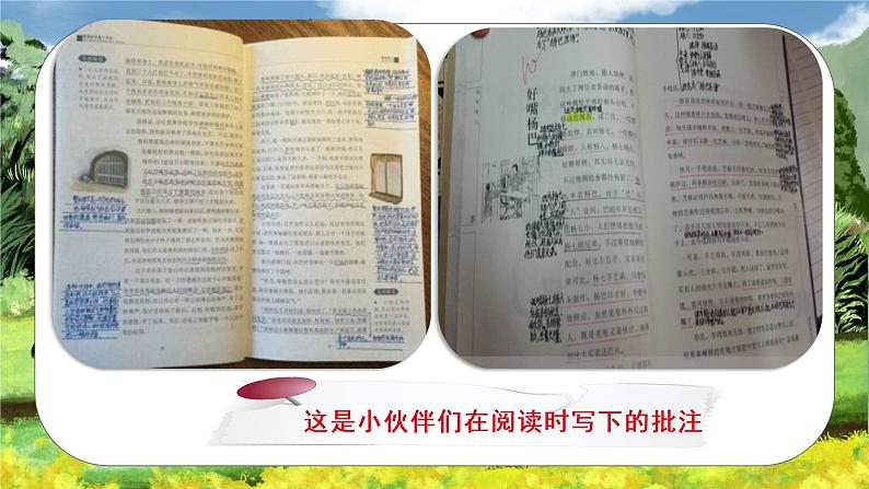 四年级上册语文人教部编版 18.牛与鹅 课件03
