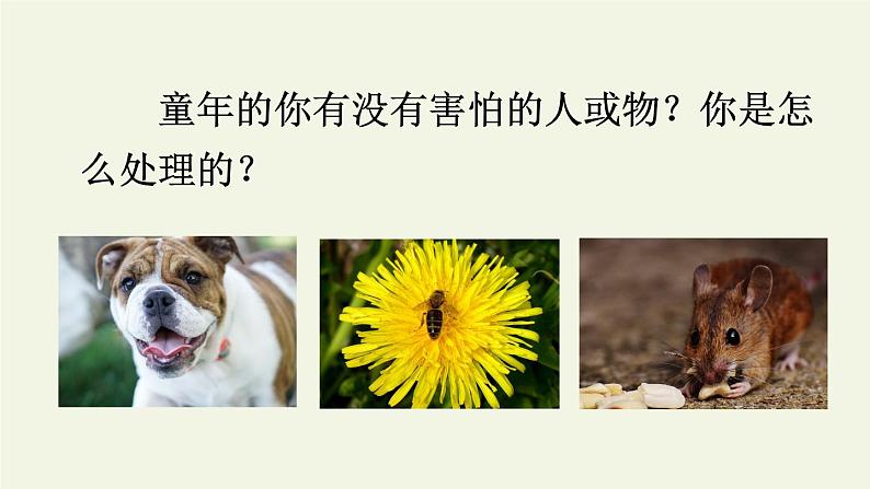 四年级上册语文人教部编版 18.牛与鹅 课件第4页