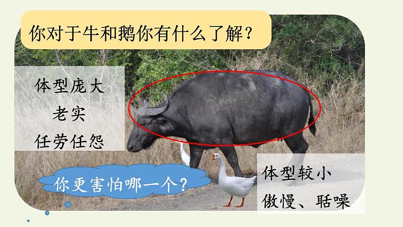四年级上册语文人教部编版 18.牛与鹅 课件第6页
