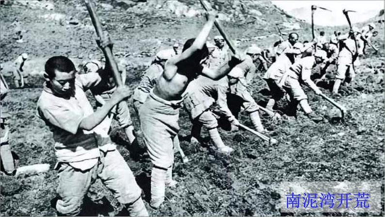 四年级上册语文人教部编版 24.延安,我把你追寻 课件第5页
