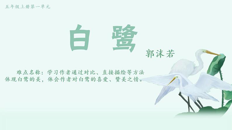 五年级上册语文人教部编版 1 白鹭 课件01