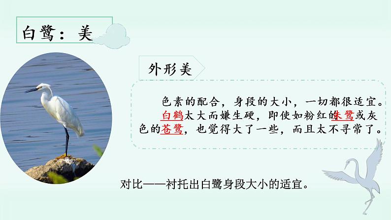 五年级上册语文人教部编版 1 白鹭 课件02