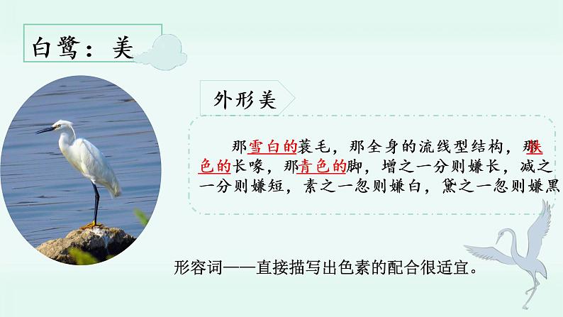 五年级上册语文人教部编版 1 白鹭 课件03