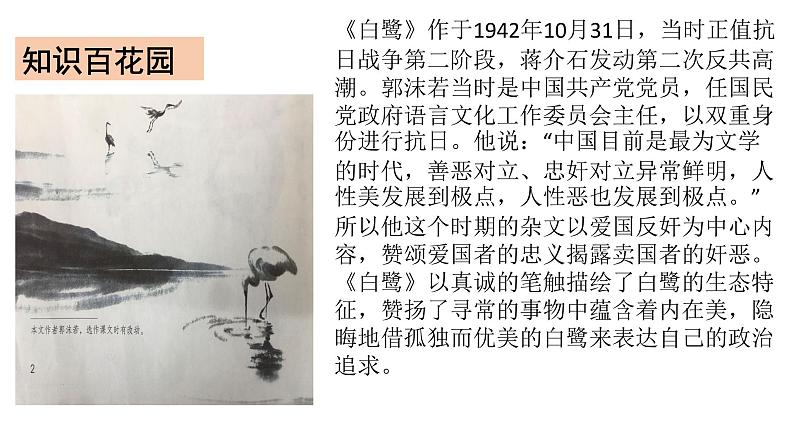五年级上册语文人教部编版 1 白鹭 课件第4页