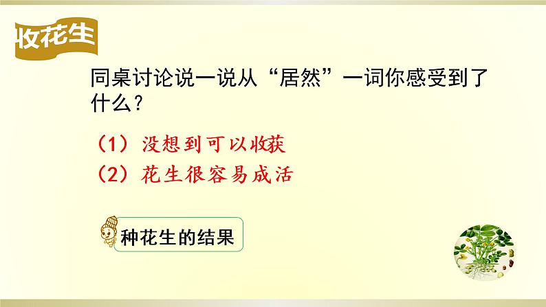 五年级上册语文人教部编版 2.落花生 课件第6页