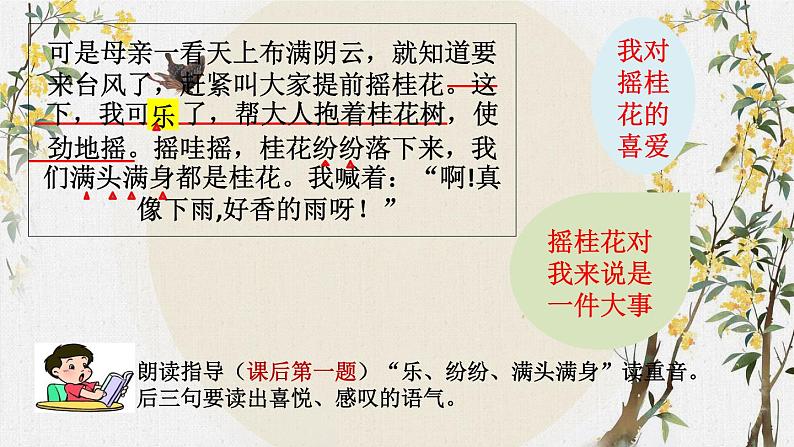 五年级上册语文人教部编版 3.桂花雨 课件第7页