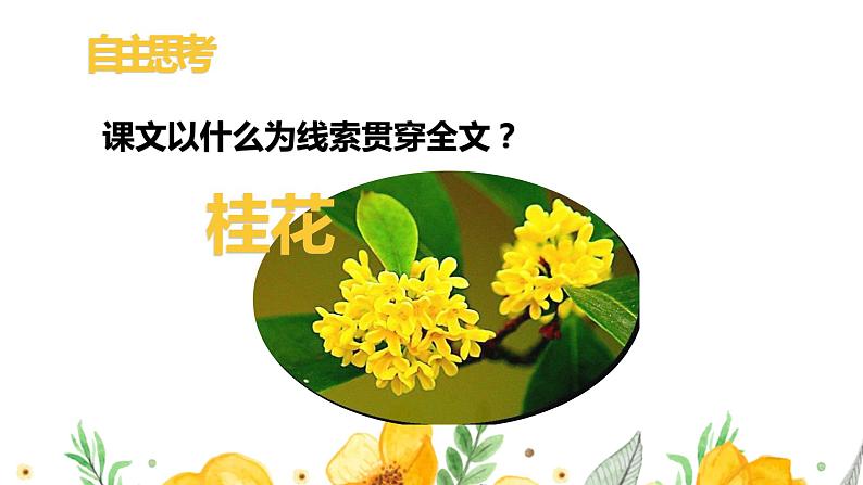五年级上册语文人教部编版 3.桂花雨 课件第2页