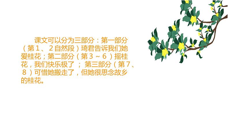 五年级上册语文人教部编版 3.桂花雨 课件第7页
