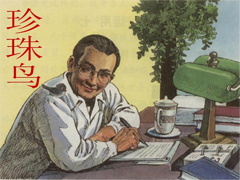 五年级上册语文人教部编版 4.珍珠鸟 课件01