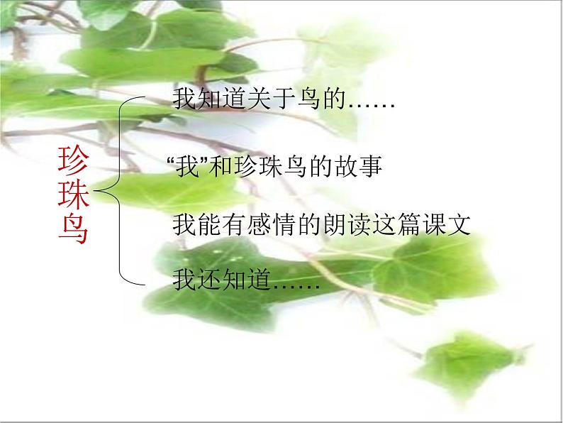 五年级上册语文人教部编版 4.珍珠鸟 课件02