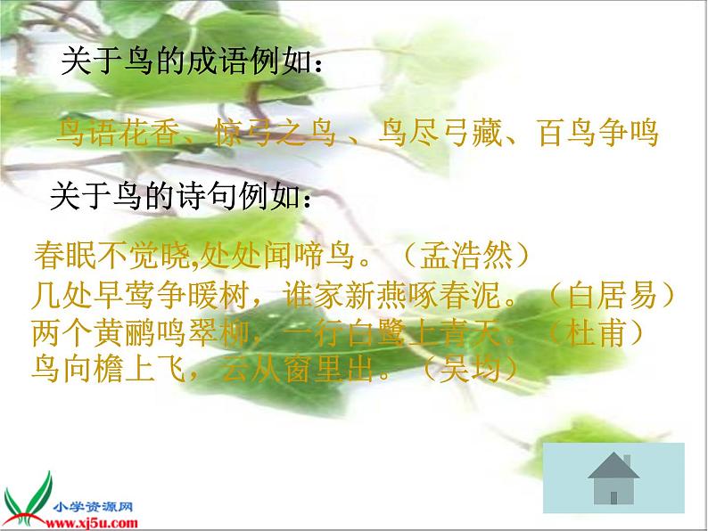 五年级上册语文人教部编版 4.珍珠鸟 课件03