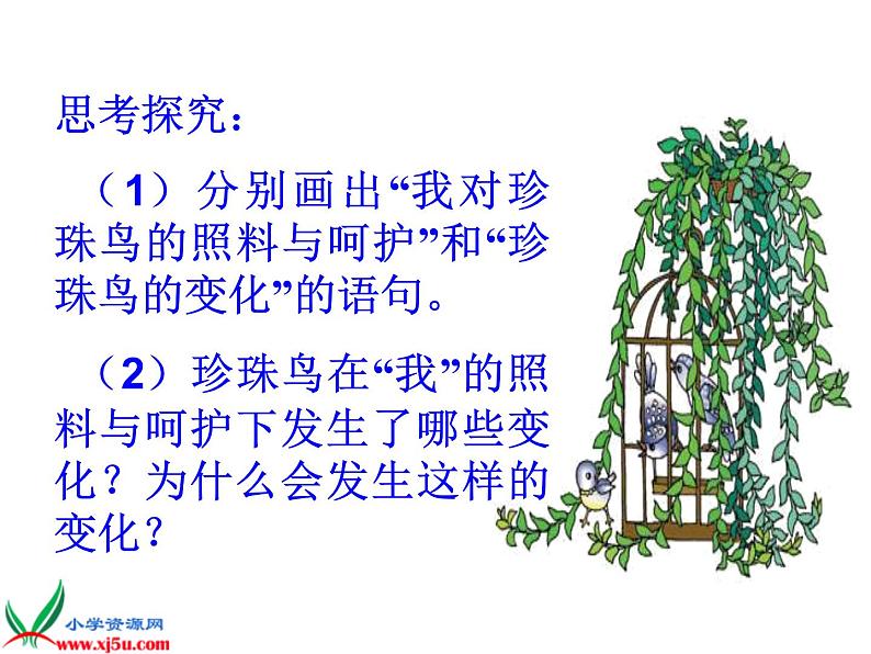 五年级上册语文人教部编版 4.珍珠鸟 课件04