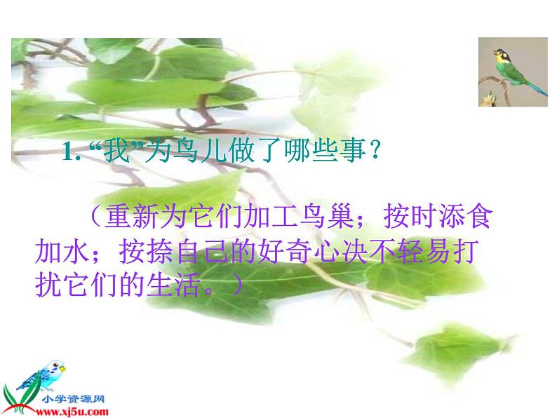 五年级上册语文人教部编版 4.珍珠鸟 课件05