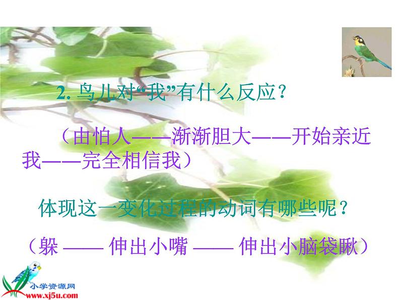 五年级上册语文人教部编版 4.珍珠鸟 课件06