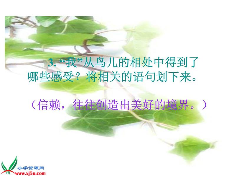 五年级上册语文人教部编版 4.珍珠鸟 课件07