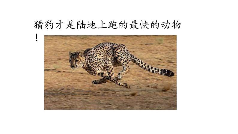 五年级上册语文人教部编版 7.什么比猎豹的速度更快 课件04