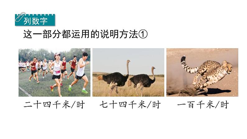 五年级上册语文人教部编版 7.什么比猎豹的速度更快 课件06
