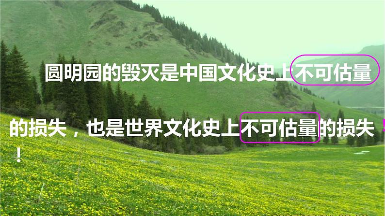 五年级上册语文部编版14.圆明园的毁灭 课件03