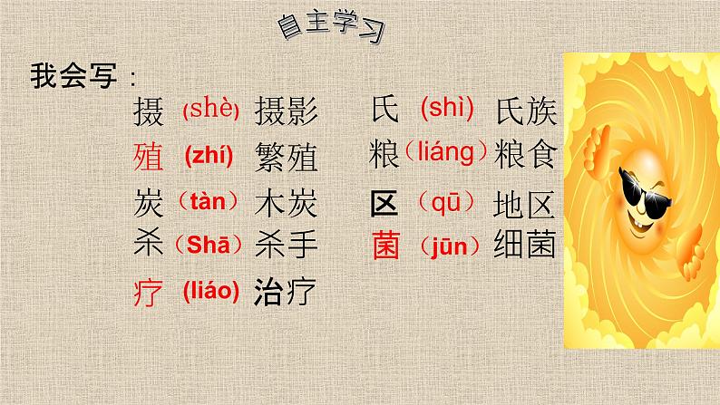 五年级上册语文人教部编版 16.太阳 课件06