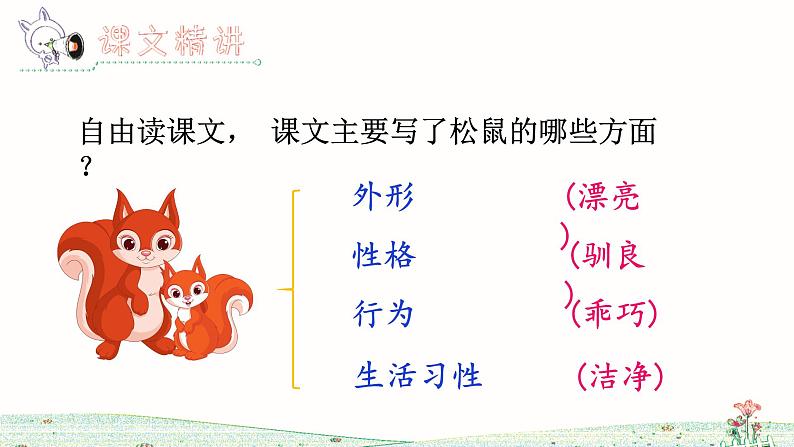 五年级上册语文人教部编版 17.松鼠 课件第3页