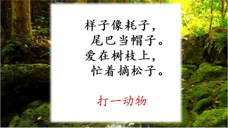 五年级上册语文人教部编版 17.松鼠 课件第2页
