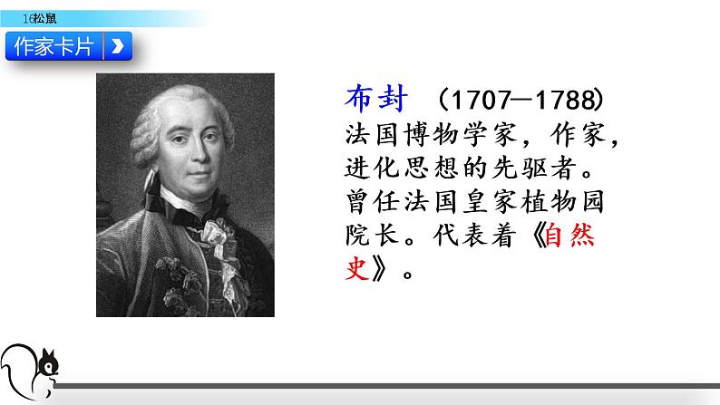 五年级上册语文人教部编版 17.松鼠 课件第4页