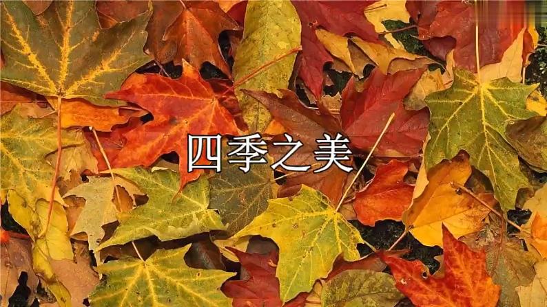 五年级上册语文人教部编版 22.四季之美 课件08