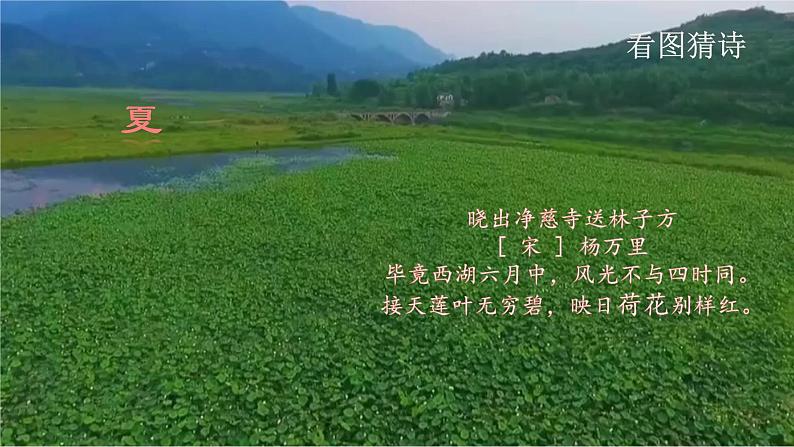五年级上册语文人教部编版 22.四季之美 课件第8页