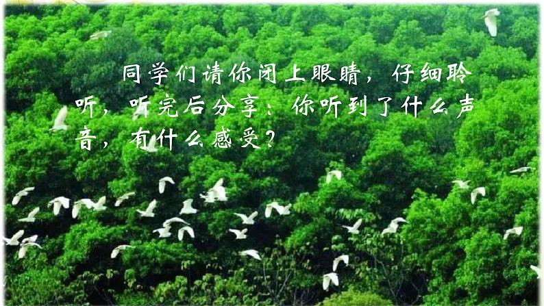 五年级上册语文人教部编版 23.鸟的天堂 课件02