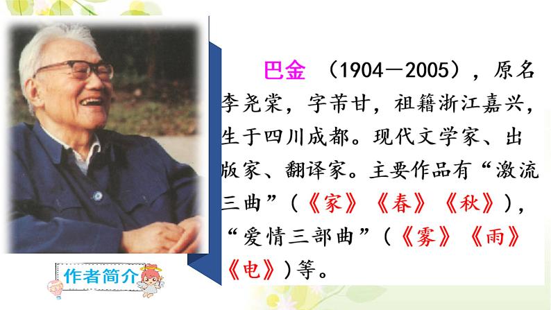 五年级上册语文人教部编版 23.鸟的天堂 课件03