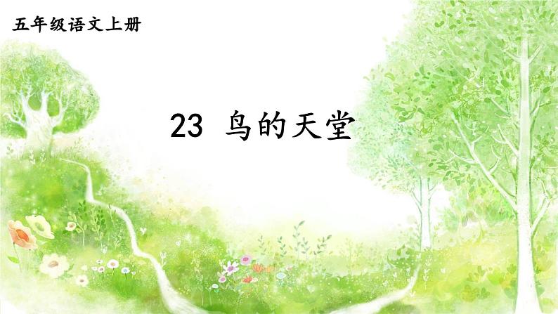 五年级上册语文人教部编版 23.鸟的天堂 课件01
