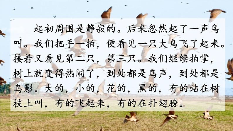 五年级上册语文人教部编版 23.鸟的天堂 课件03