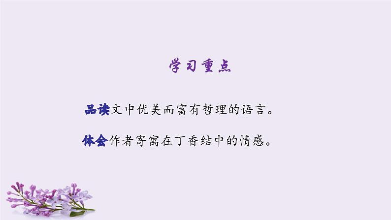 六年级上册语文人教部编版 2.丁香结 课件第3页