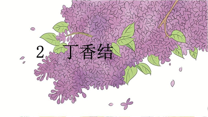 六年级上册语文人教部编版 2.丁香结 课件01